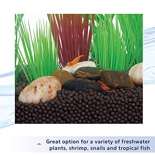 Your one-stop shop for diverse, top-quality aquarium supplies and accessories