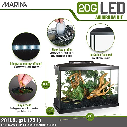 Your one-stop shop for diverse, top-quality aquarium supplies and accessories
