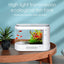 Your one-stop shop for diverse, top-quality aquarium supplies and accessories
