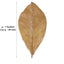 Your one-stop shop for diverse, top-quality aquarium supplies and accessories