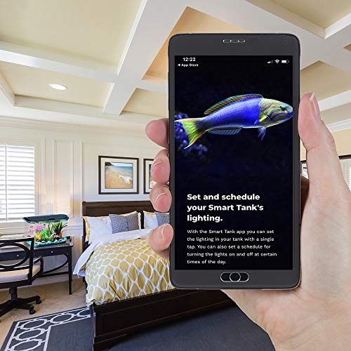 Your one-stop shop for diverse, top-quality aquarium supplies and accessories