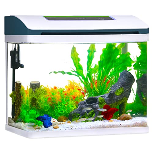 Betta Fish Tank Glass 5 Gallon Self Cleaning Small Aquarium Starter Ki –  Supply AG