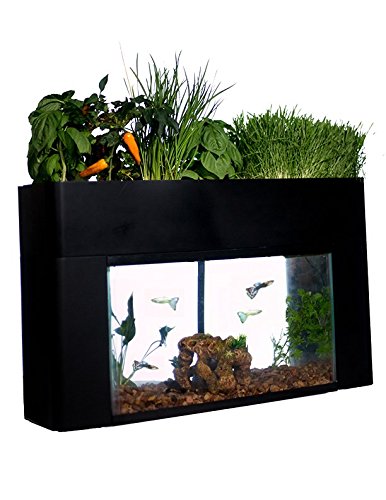 Your one-stop shop for diverse, top-quality aquarium supplies and accessories