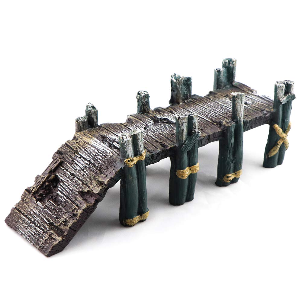 Your one-stop shop for diverse, top-quality aquarium supplies and accessories