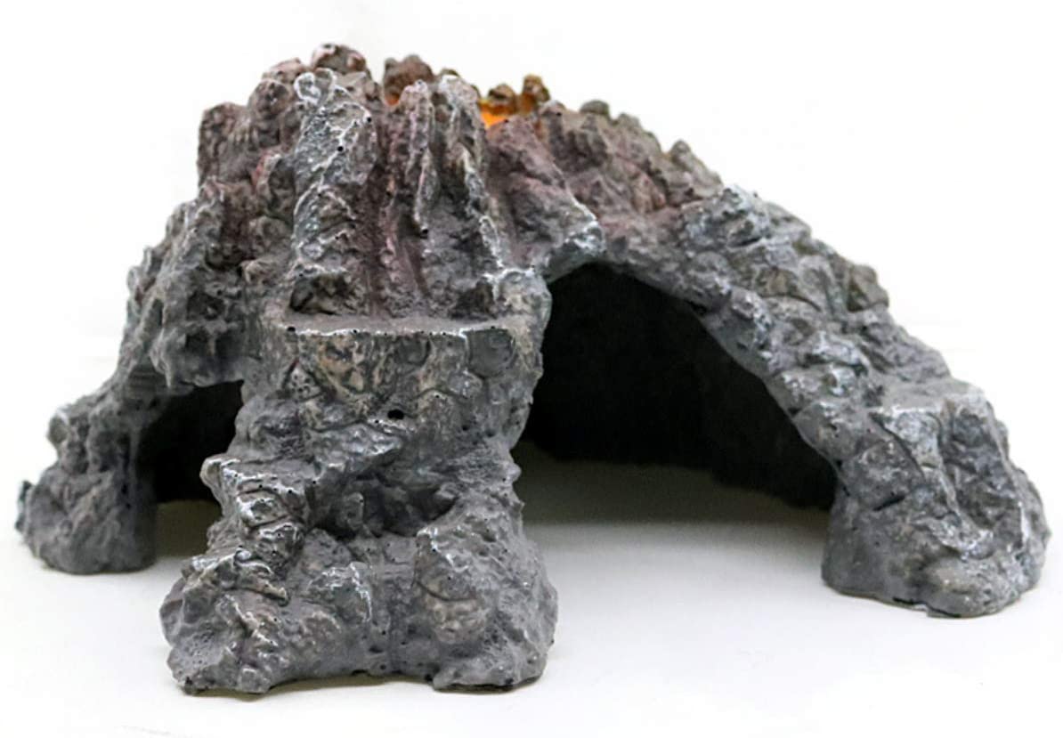 Your one-stop shop for diverse, top-quality aquarium supplies and accessories