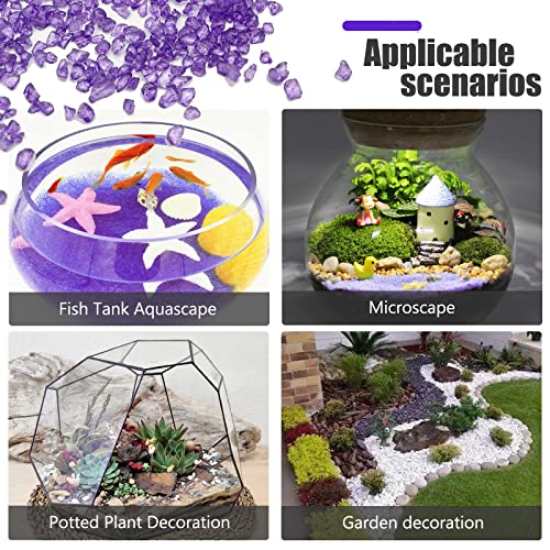 Your one-stop shop for diverse, top-quality aquarium supplies and accessories