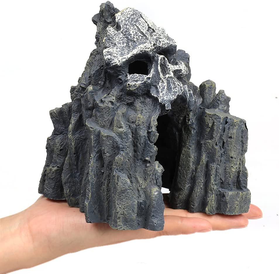 Your one-stop shop for diverse, top-quality aquarium supplies and accessories