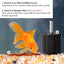 Your one-stop shop for diverse, top-quality aquarium supplies and accessories