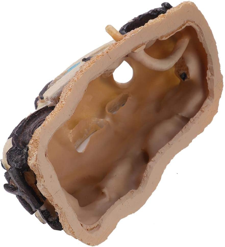 Your one-stop shop for diverse, top-quality aquarium supplies and accessories