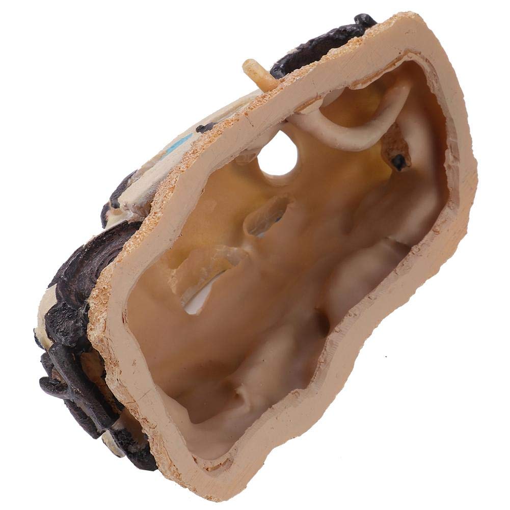 Your one-stop shop for diverse, top-quality aquarium supplies and accessories