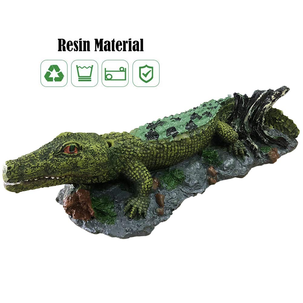Your one-stop shop for diverse, top-quality aquarium supplies and accessories