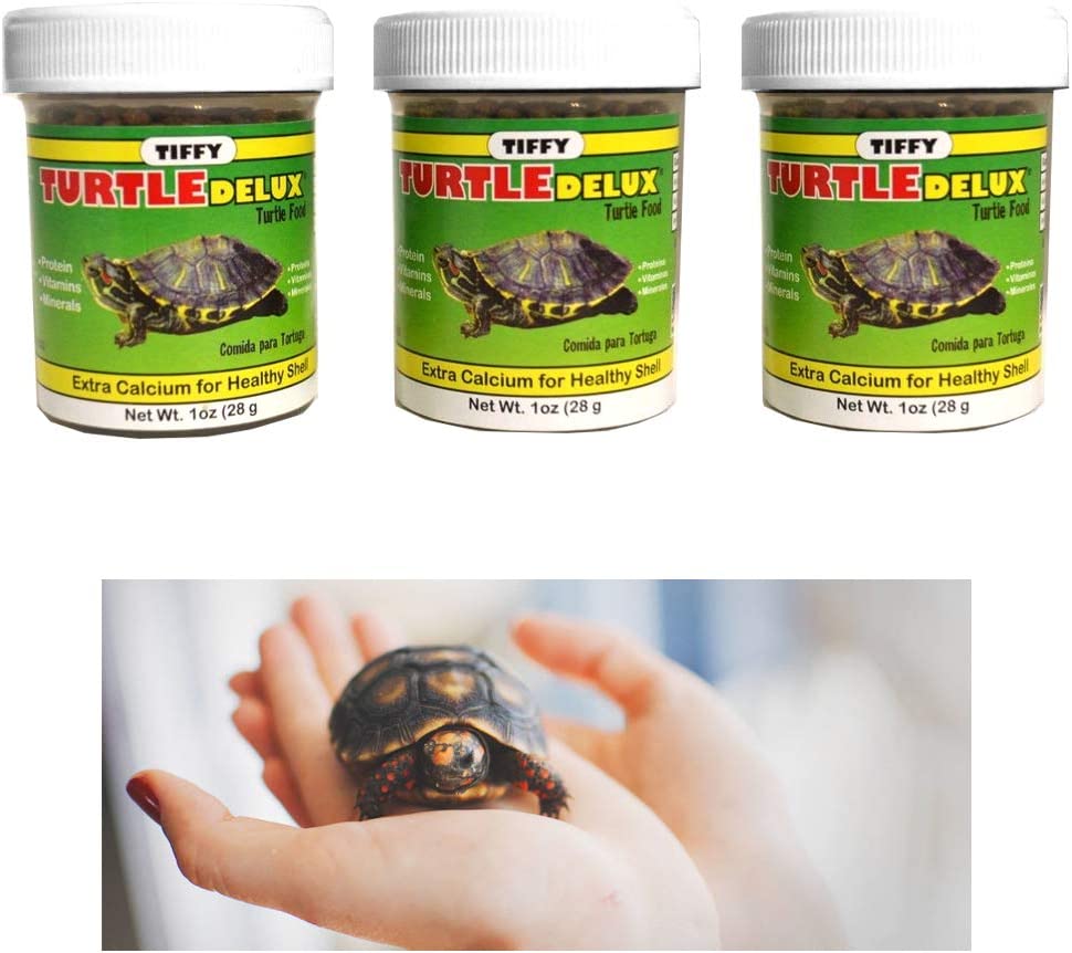 Your one-stop shop for diverse, top-quality aquarium supplies and accessories