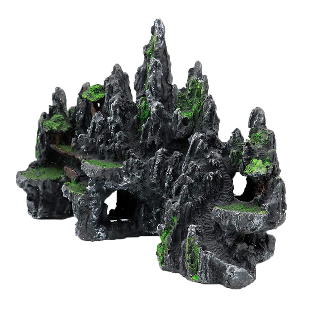 Your one-stop shop for diverse, top-quality aquarium supplies and accessories