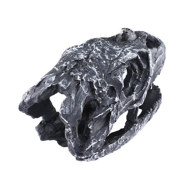 Your one-stop shop for diverse, top-quality aquarium supplies and accessories