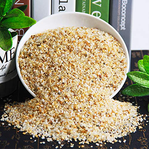 Your one-stop shop for diverse, top-quality aquarium supplies and accessories