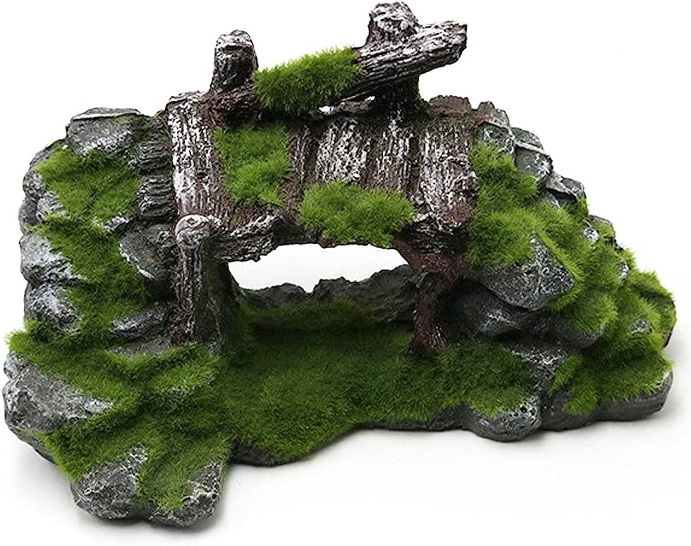 Your one-stop shop for diverse, top-quality aquarium supplies and accessories