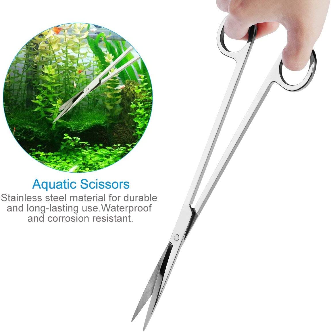 Your one-stop shop for diverse, top-quality aquarium supplies and accessories