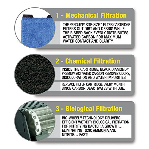 Your one-stop shop for diverse, top-quality aquarium supplies and accessories