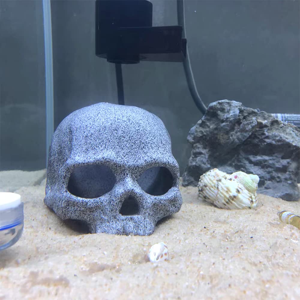 Your one-stop shop for diverse, top-quality aquarium supplies and accessories