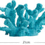 Your one-stop shop for diverse, top-quality aquarium supplies and accessories