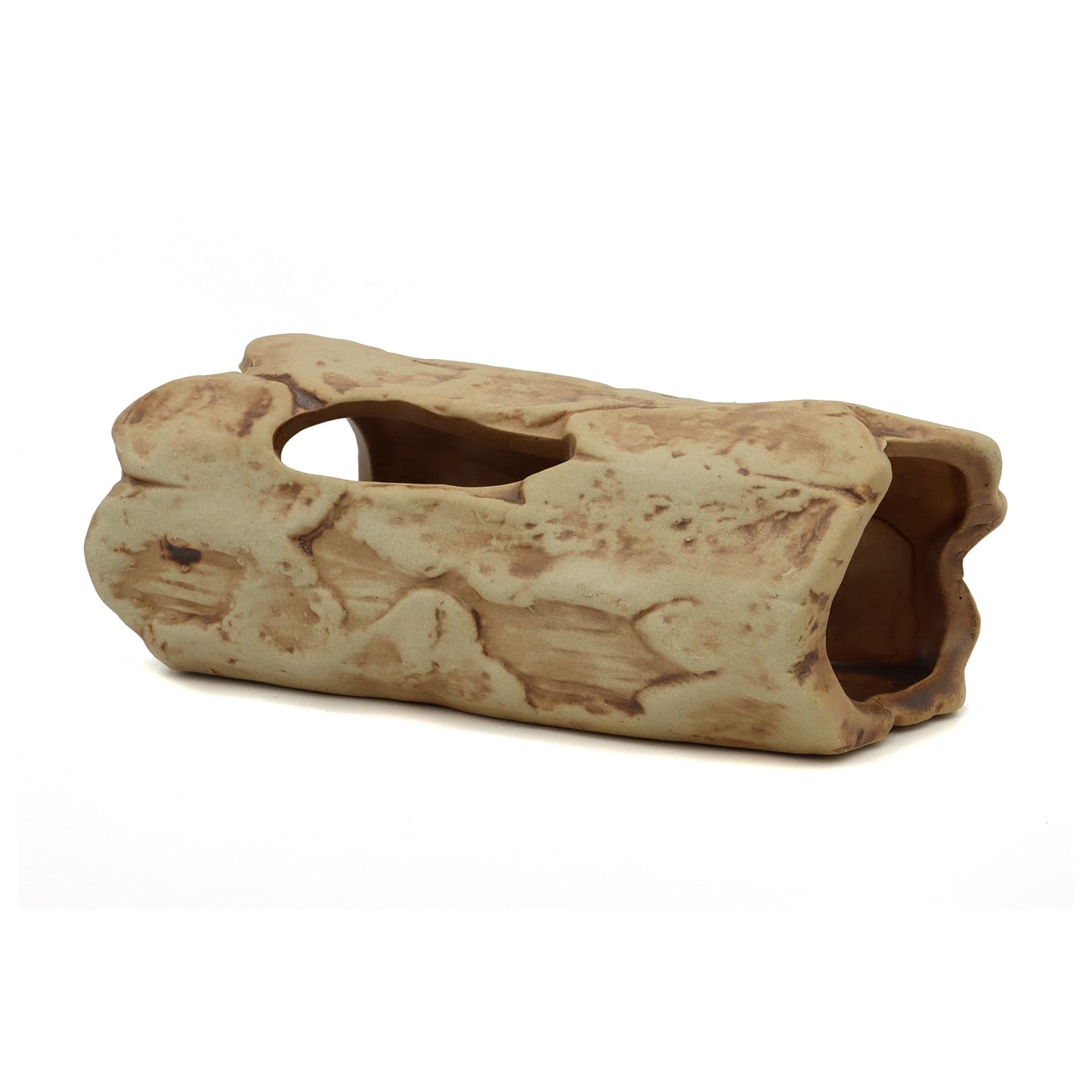 Your one-stop shop for diverse, top-quality aquarium supplies and accessories