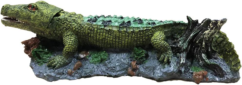 Your one-stop shop for diverse, top-quality aquarium supplies and accessories