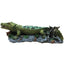 Your one-stop shop for diverse, top-quality aquarium supplies and accessories
