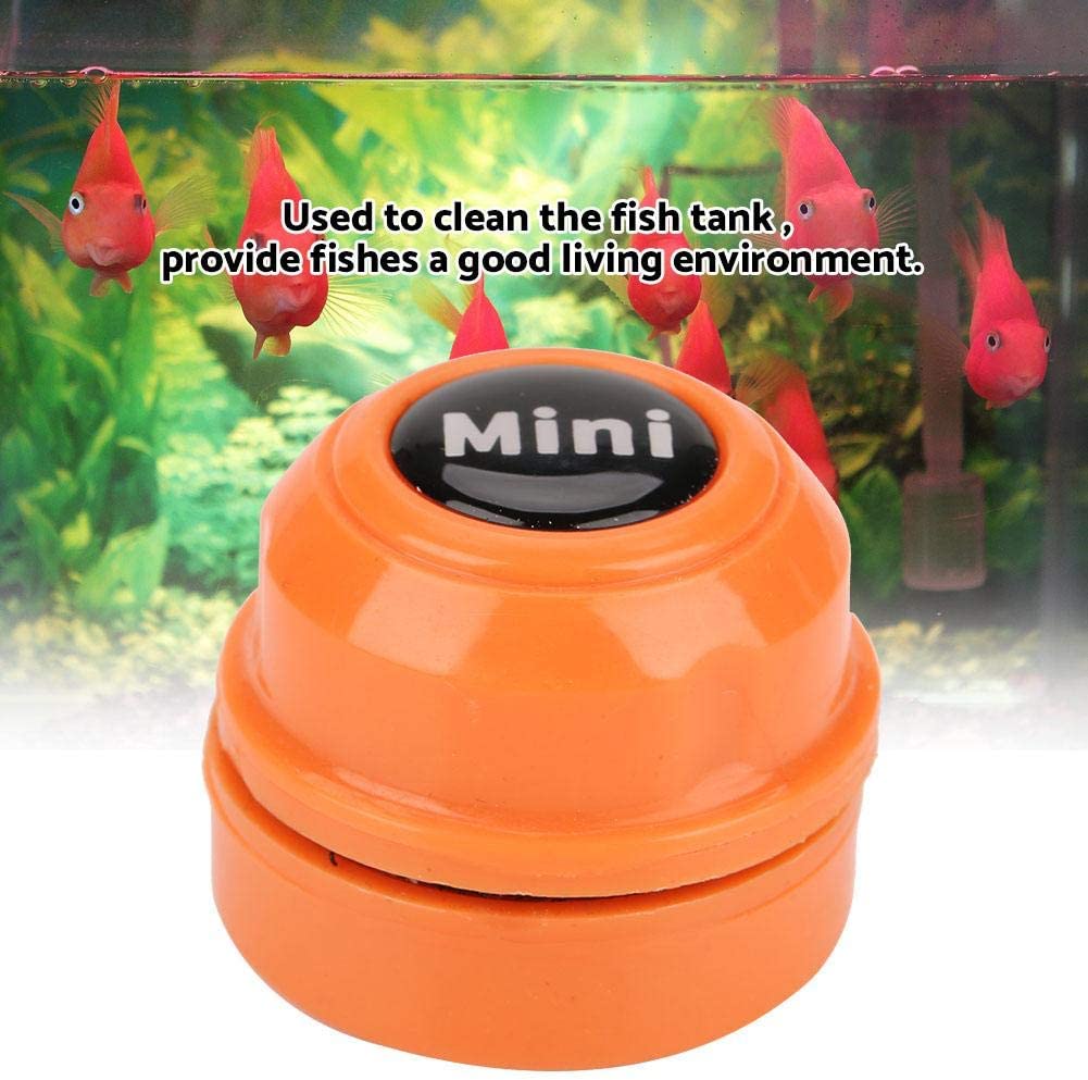 Your one-stop shop for diverse, top-quality aquarium supplies and accessories