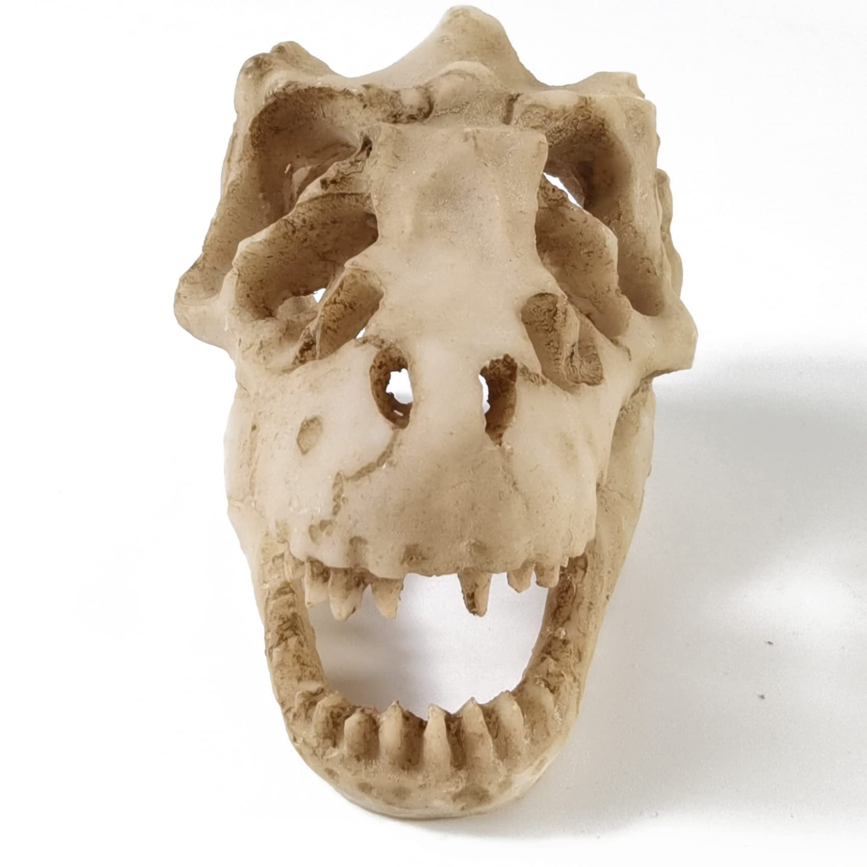 Your one-stop shop for diverse, top-quality aquarium supplies and accessories