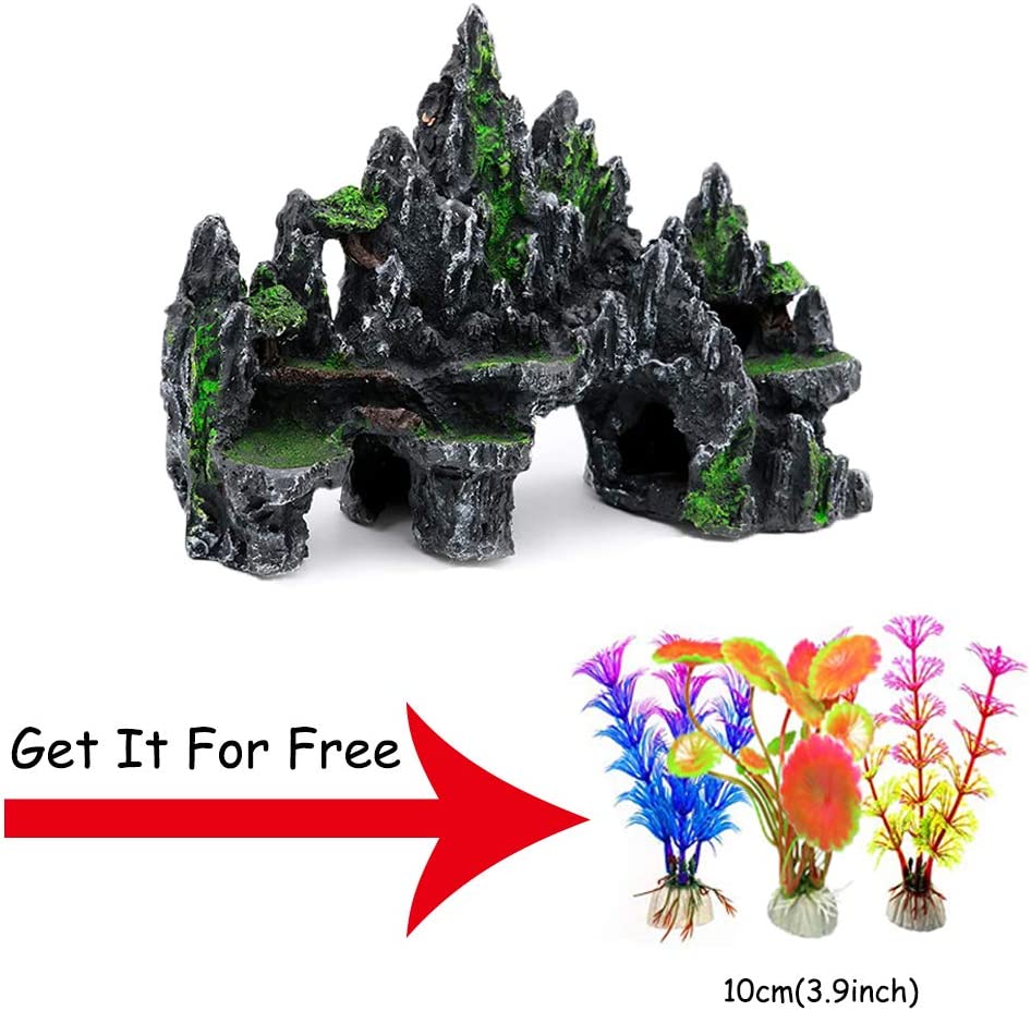 Your one-stop shop for diverse, top-quality aquarium supplies and accessories