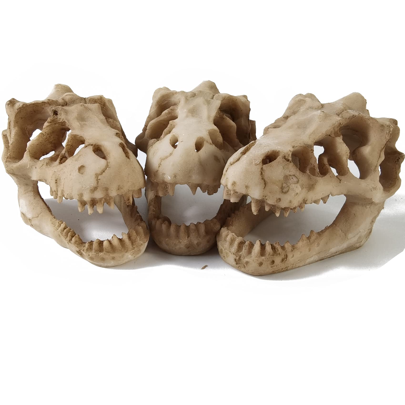 Your one-stop shop for diverse, top-quality aquarium supplies and accessories