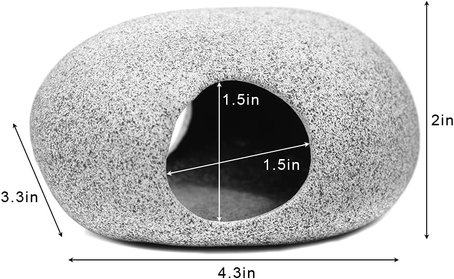 Your one-stop shop for diverse, top-quality aquarium supplies and accessories