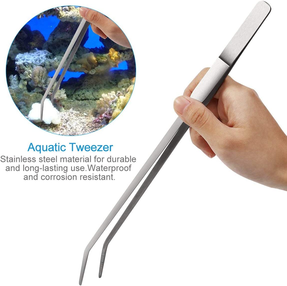 Your one-stop shop for diverse, top-quality aquarium supplies and accessories