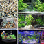 Your one-stop shop for diverse, top-quality aquarium supplies and accessories