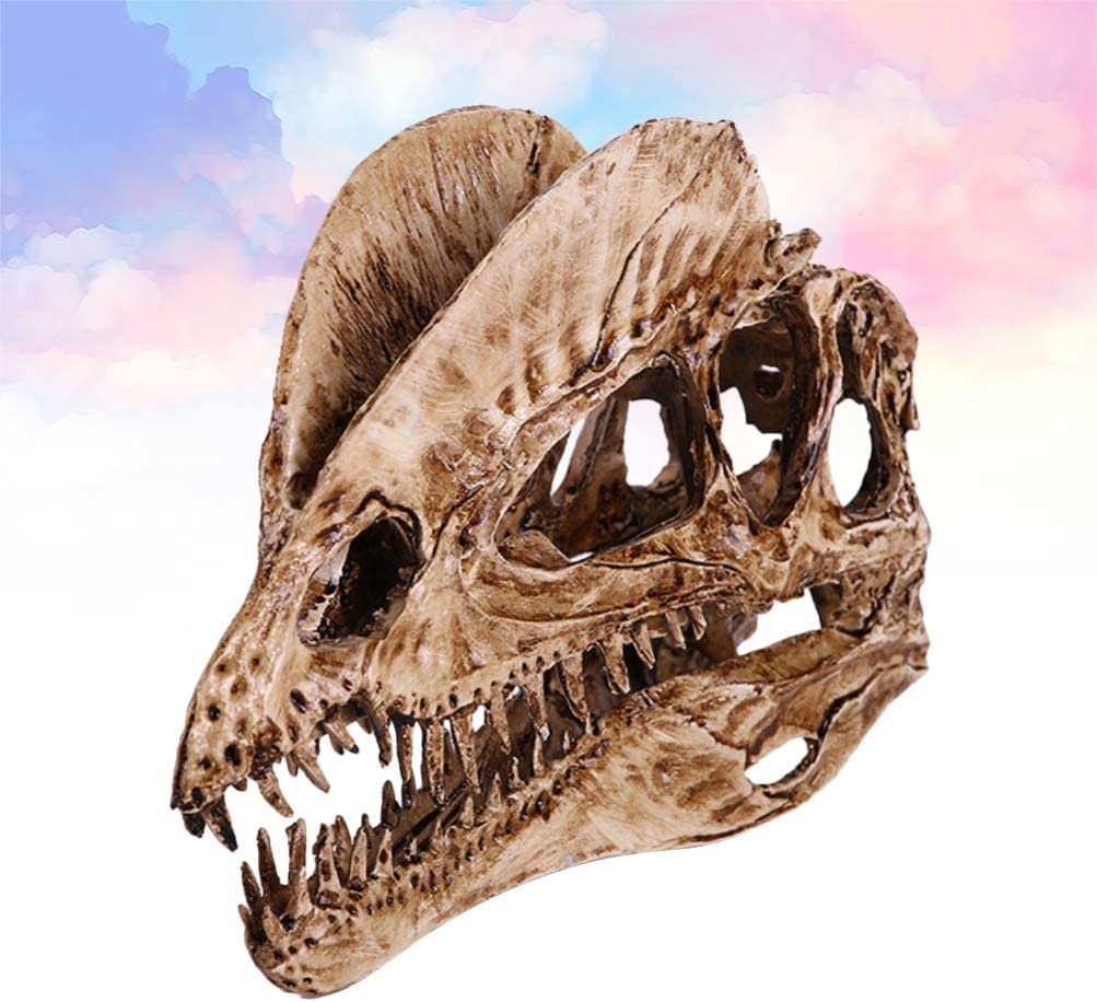 Your one-stop shop for diverse, top-quality aquarium supplies and accessories