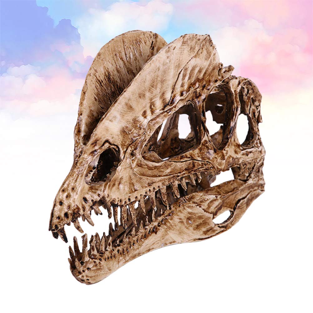 Your one-stop shop for diverse, top-quality aquarium supplies and accessories