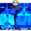 Your one-stop shop for diverse, top-quality aquarium supplies and accessories