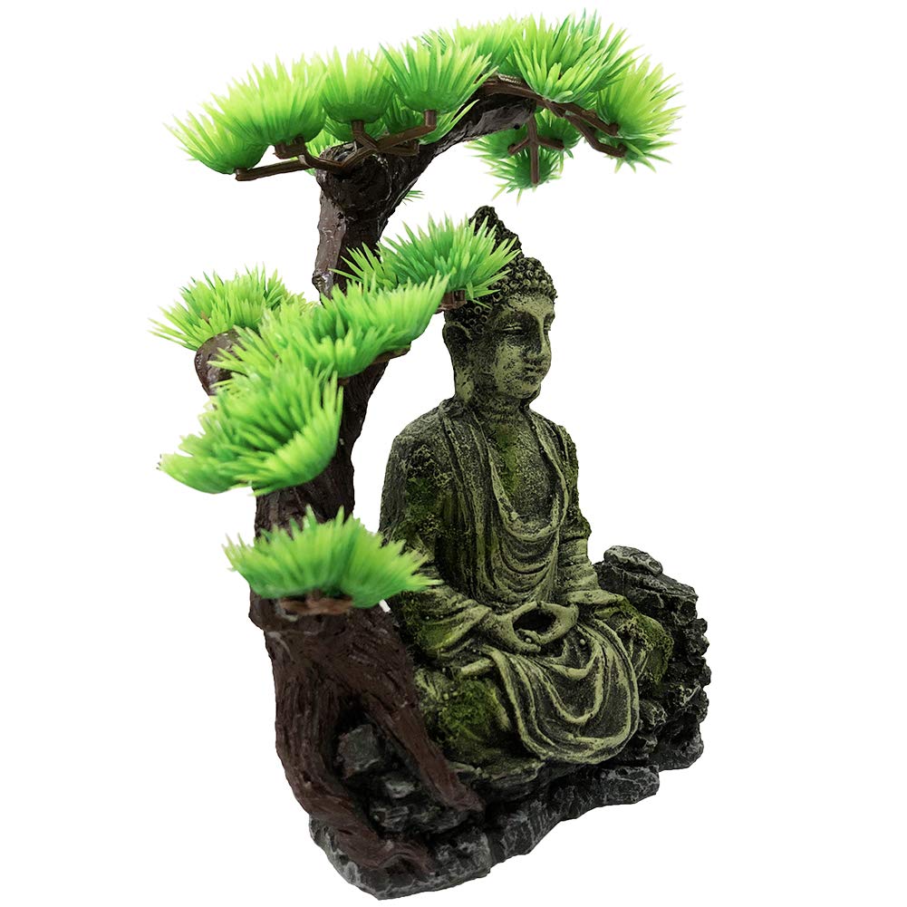 Your one-stop shop for diverse, top-quality aquarium supplies and accessories