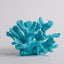 Your one-stop shop for diverse, top-quality aquarium supplies and accessories