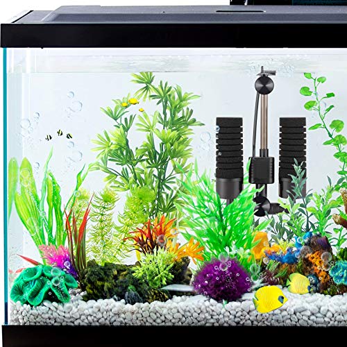 Your one-stop shop for diverse, top-quality aquarium supplies and accessories