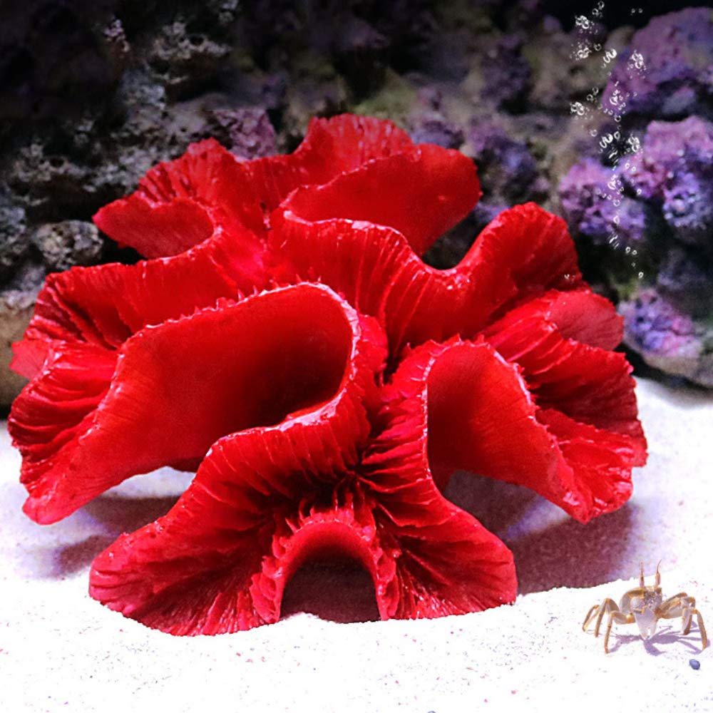 Your one-stop shop for diverse, top-quality aquarium supplies and accessories