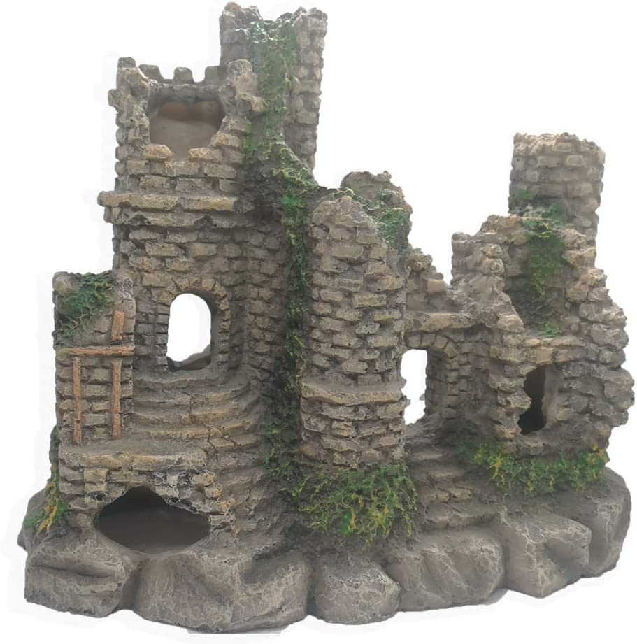 Your one-stop shop for diverse, top-quality aquarium supplies and accessories