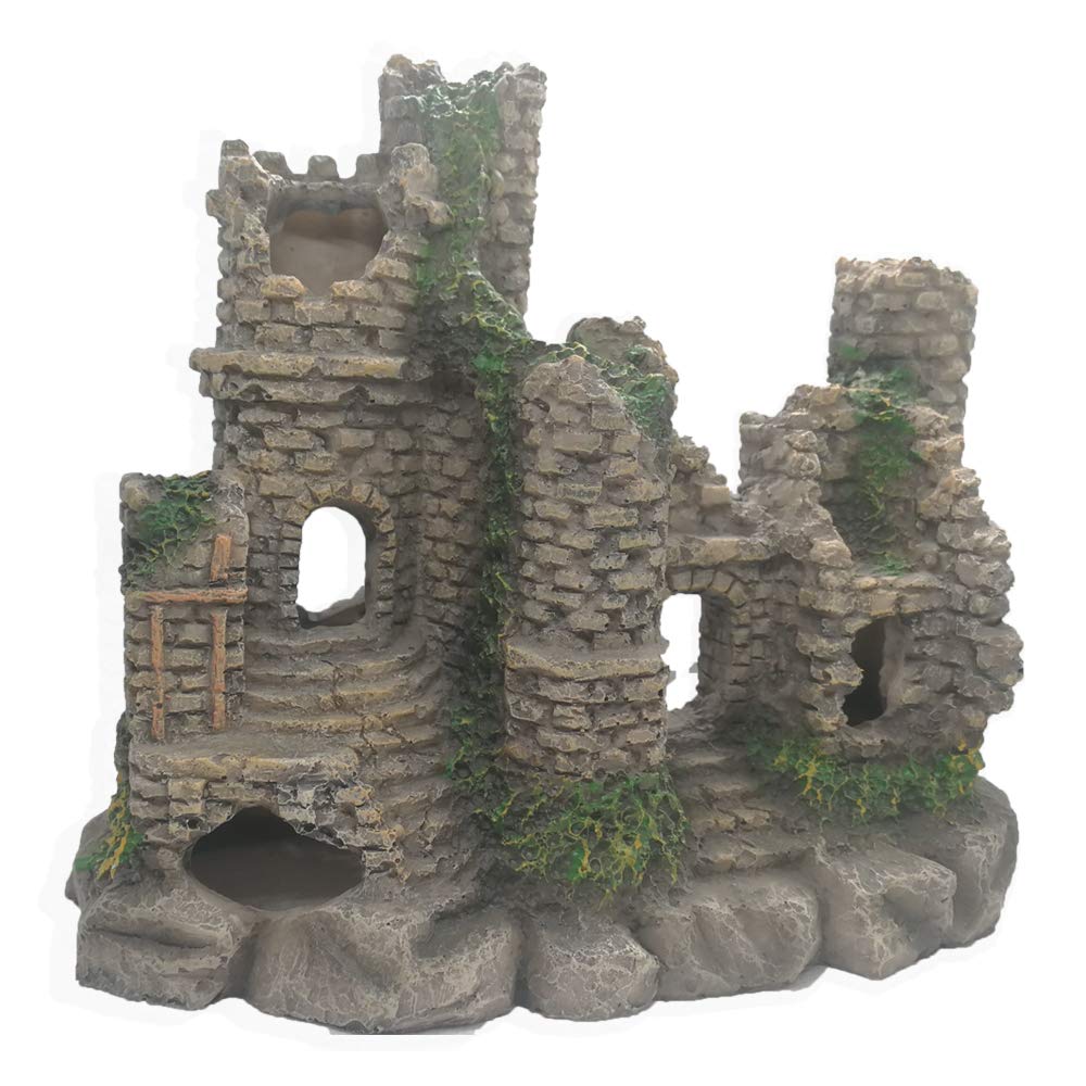 Your one-stop shop for diverse, top-quality aquarium supplies and accessories