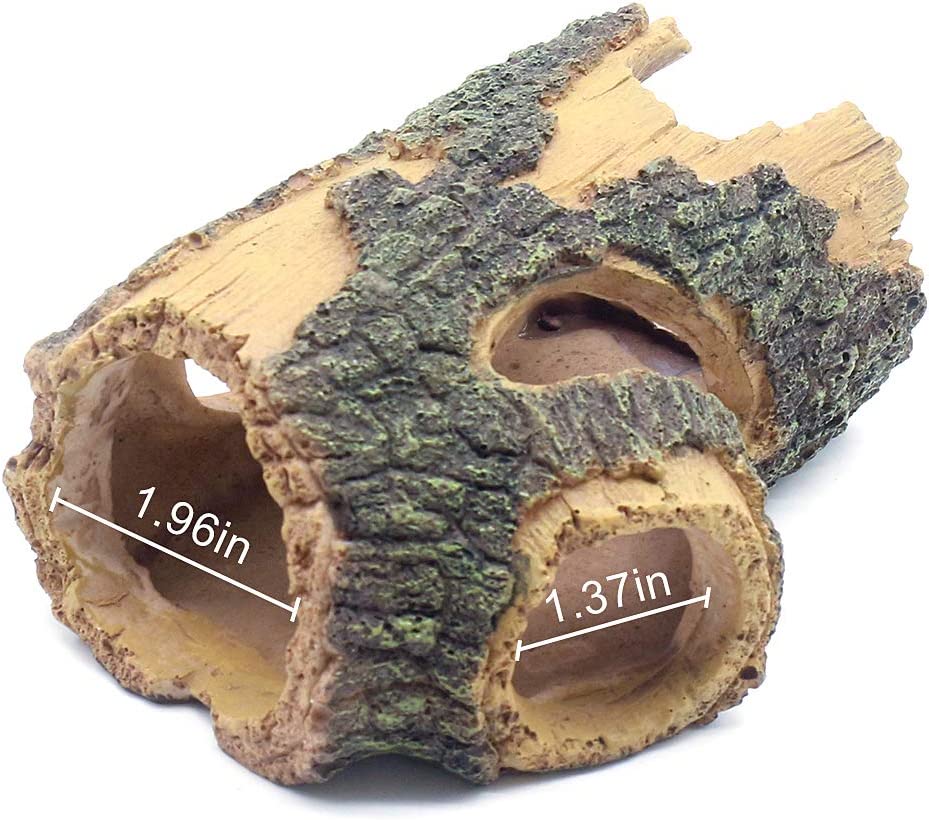 Your one-stop shop for diverse, top-quality aquarium supplies and accessories