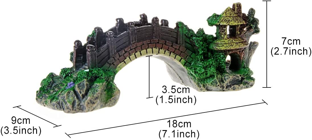 Your one-stop shop for diverse, top-quality aquarium supplies and accessories