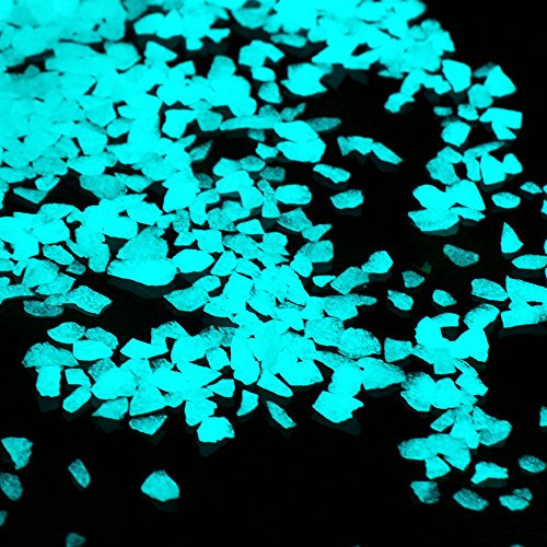 Your one-stop shop for diverse, top-quality aquarium supplies and accessories