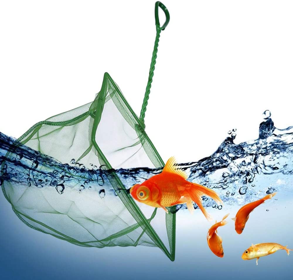 Your one-stop shop for diverse, top-quality aquarium supplies and accessories