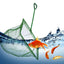 Your one-stop shop for diverse, top-quality aquarium supplies and accessories