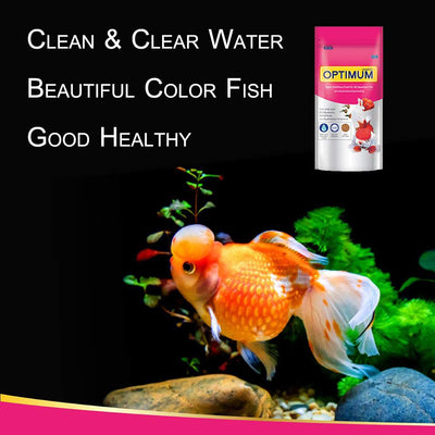 Your one-stop shop for diverse, top-quality aquarium supplies and accessories