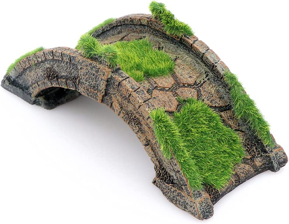 Your one-stop shop for diverse, top-quality aquarium supplies and accessories